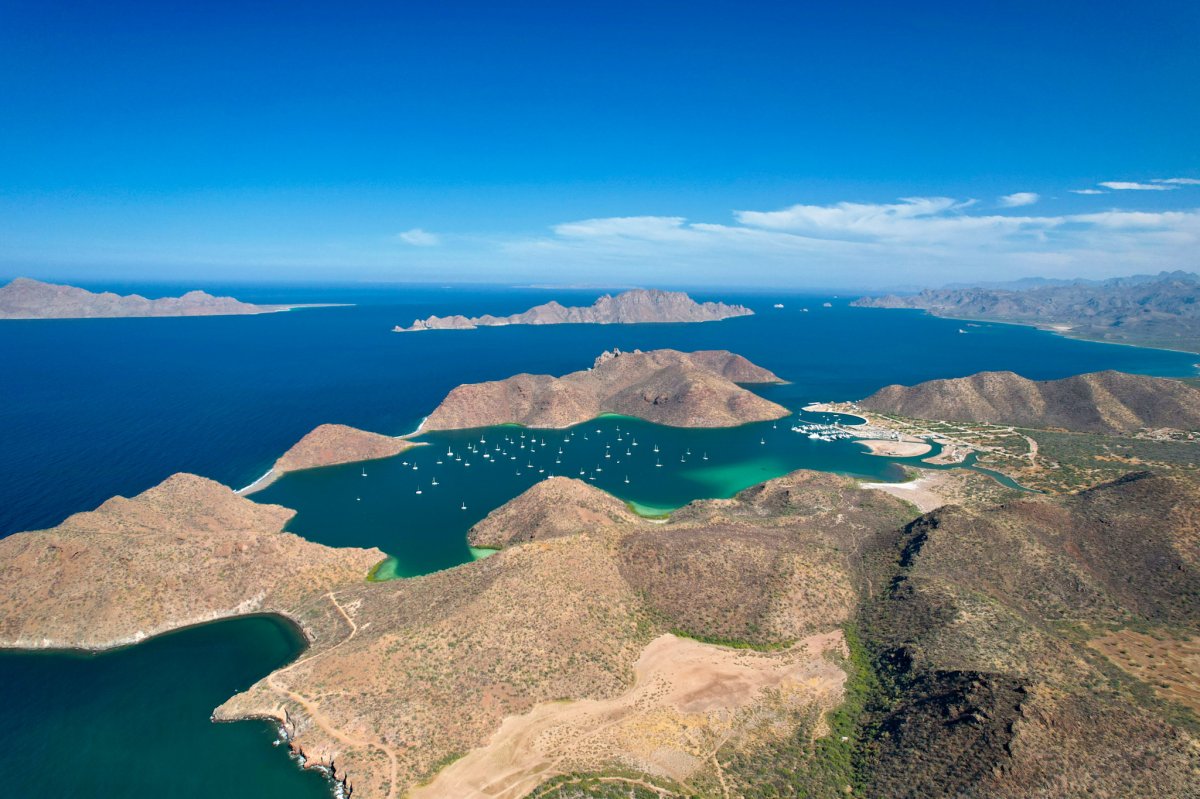 Présentation de la Basse Californie